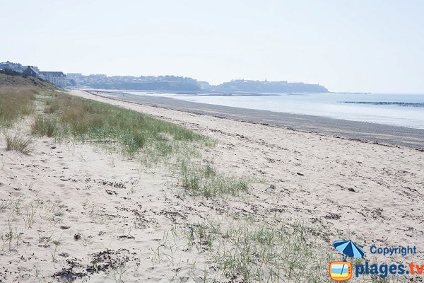 Plage au nord de Donville