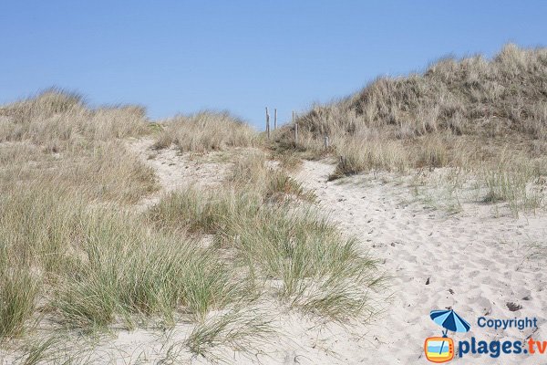 Accès à la plage Nord de Donville