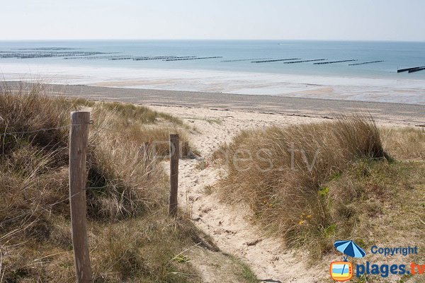 Photo of Hippodrome beach in Donville in France
