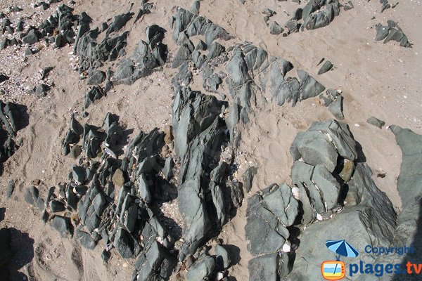 Schiste vert sur la plage d'Hogolo à Plestin les Grèves