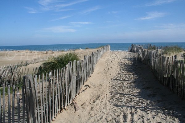 sentieri d’accesso alla spiaggia di Marseillan