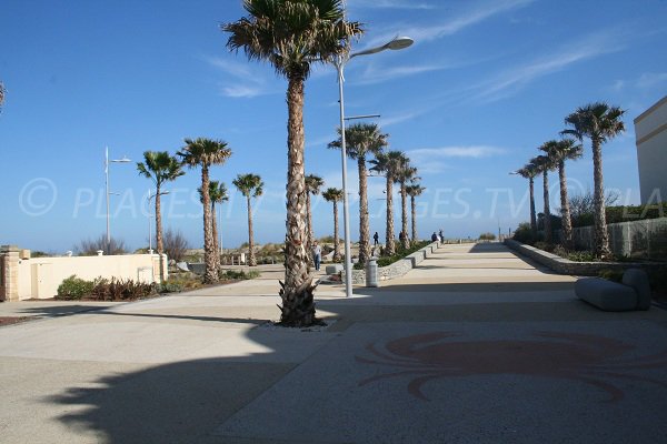 Seaside front of Marseillan-Plage