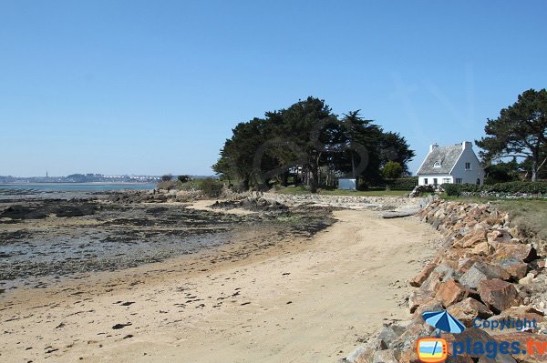 House along the beach of the island of Callot - Hospital - Carantec