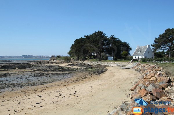 Maison le long de la plage de l'ile de Callot - Hopital - Carantec