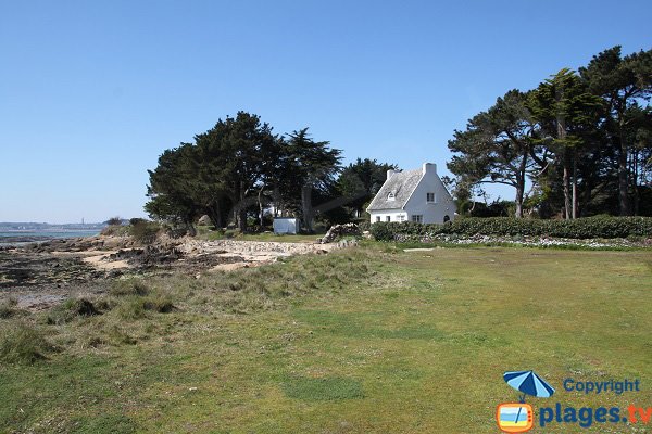 pelouse sur l'ile de Callot en bord de plage