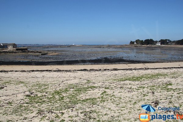 Dunes sur l'ile de Callot