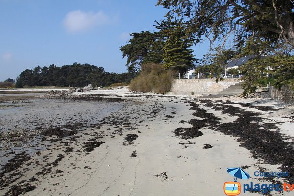 Plage de l'Hopital de Roscoff (Perharidi)