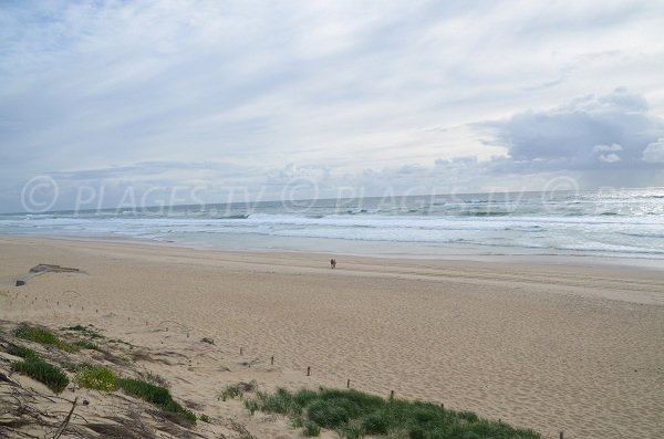 Plage de l'Horizon en direction de la pointe du Cap Ferret