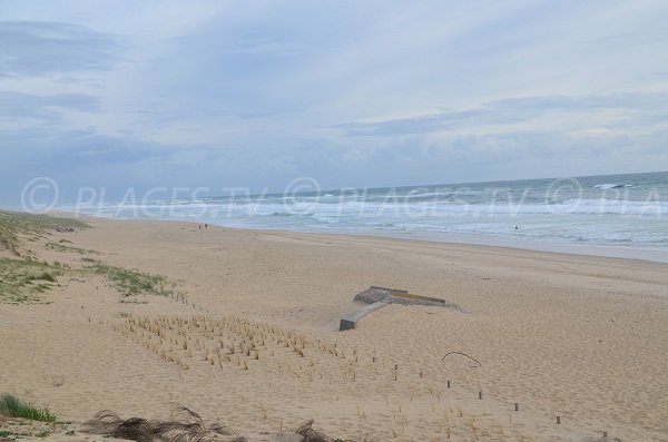 Grande spiaggia dell'oceano a Cap Ferret