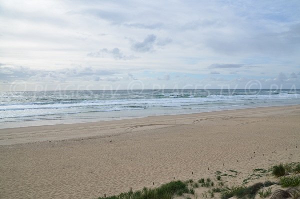 Plage à proximité du phare du Cap Ferret