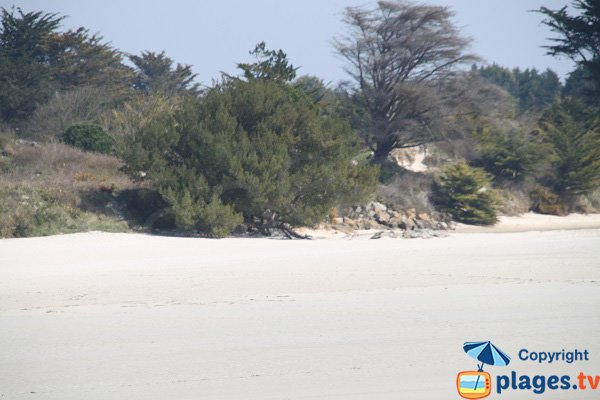 Plage vue depuis Plougoulm - Santec