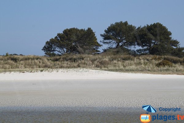 Plage avec du sable fin à Santec