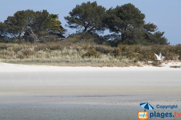 Photo de la plage de l'Horn à Santec