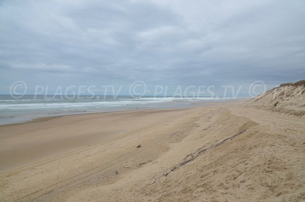 Ocean beach in Hourtin in France