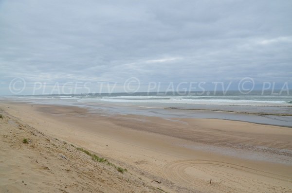 Spiaggia a Hourtin in Francia