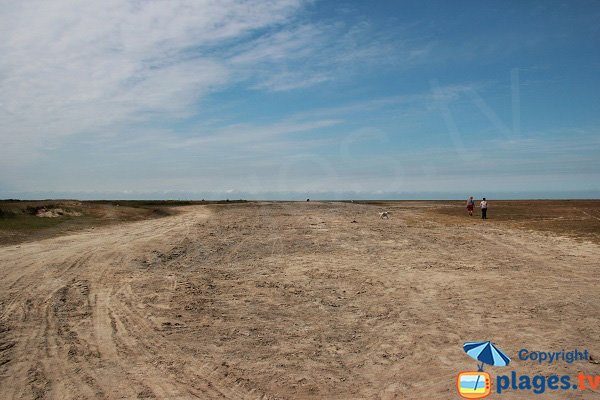 Plage de Hemmes des Marck