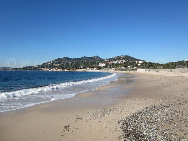Monitored beach of Almanarre in Hyères