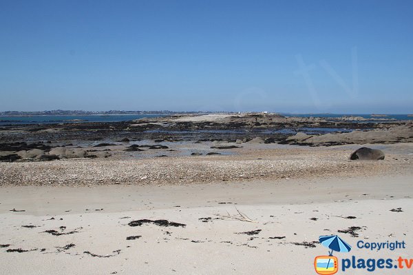 Plage au nord de l'ile Callot à marée basse