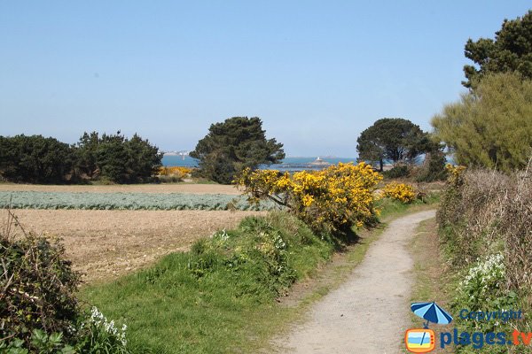 Path of Callot island - Carantec