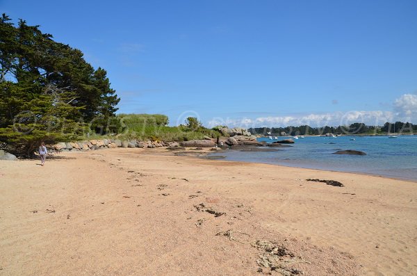 Plage de sable sur l'île Renote à Trégastel