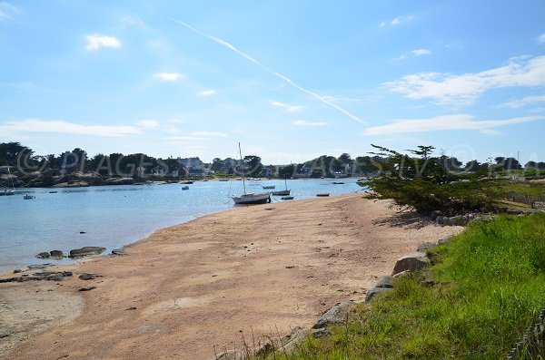 Plage de l'Ile Renote à Trégastel