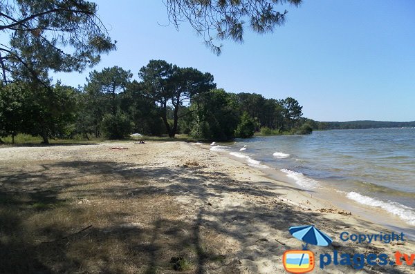 Spiaggia intorno al Yacht Club Biscarosse (Biscarosse Lago)