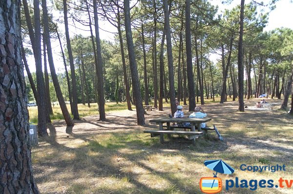 Tavolo da pic nic in riva al lago di Biscarosse