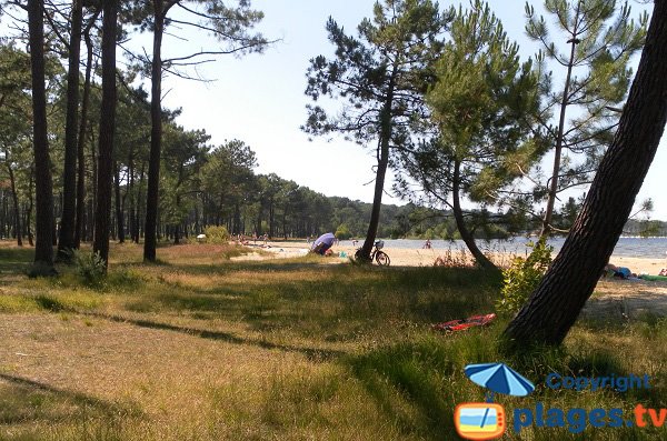 Foto della spiaggia lago di Biscarosse - Zona Ispe