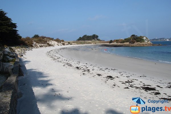 Jacobins beach in Roscoff