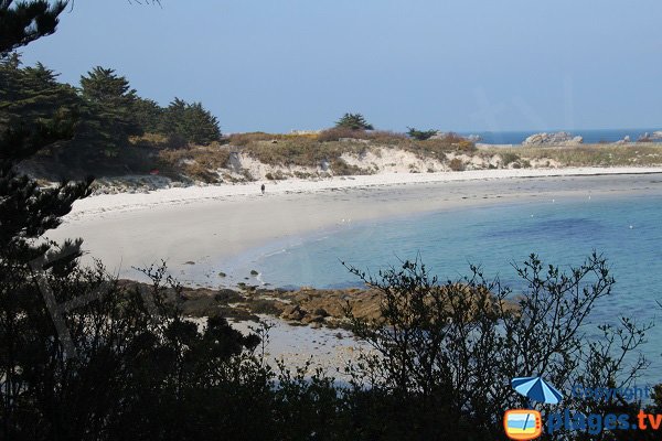 Photo de la plage des Jacobins de Roscoff