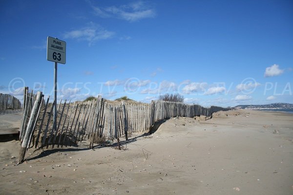 Espace dunaire de la plage du Jalabert à Sète