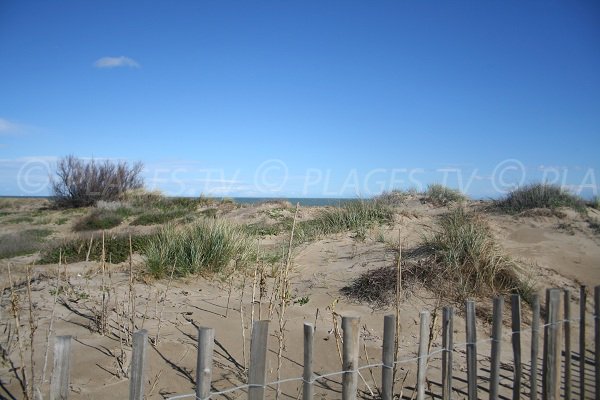 Dune della spiaggia Jalabert a Sète