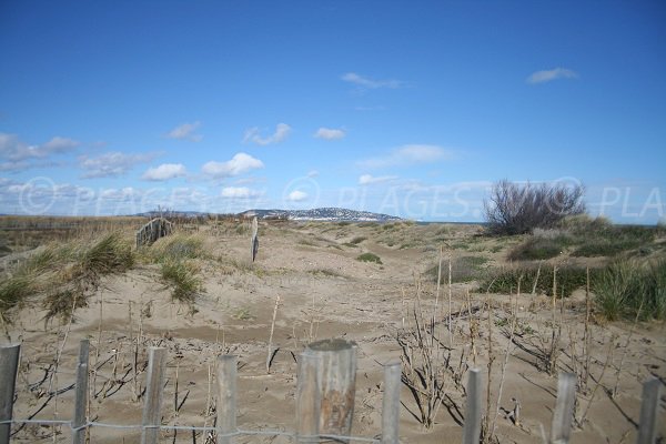 Vue sur le Mont Saint Clair de Sète avec les dunes
