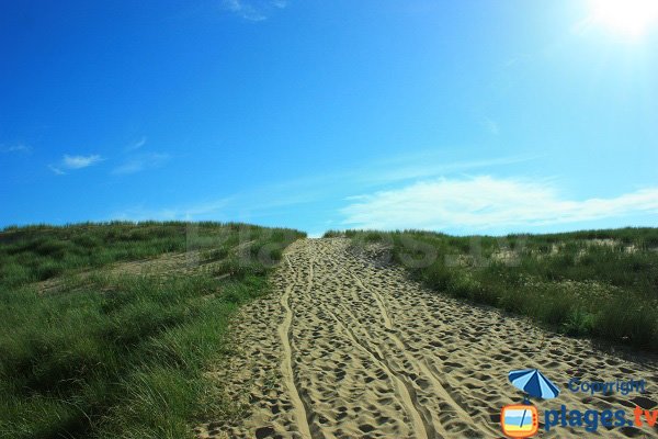 Chemin sur la dune pour la plage du Jaunay