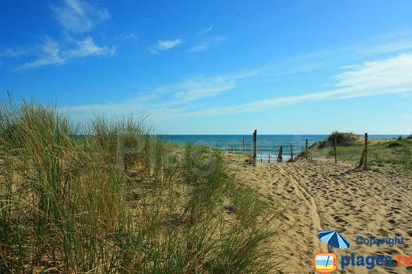 Dune du Jaunay à St Gilles Croix de Vie