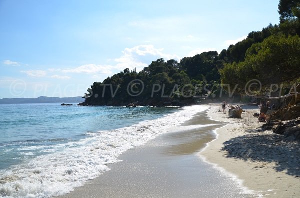 Wild beach in Lavandou - Jean Blanc