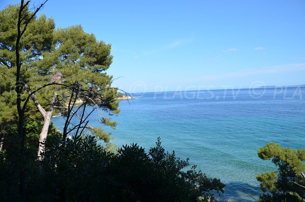 Panorama sur l'environnement de la plage Jean Blanc