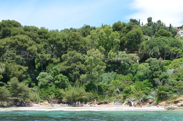 Spiaggia nudisti del Lavandou - Jean Blanc