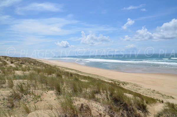 Spiaggia naturista Jenny in Francia