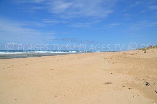 Beach of La Jenny in Le Porge - Atlantic in France