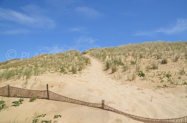 Access to the Jenny beach