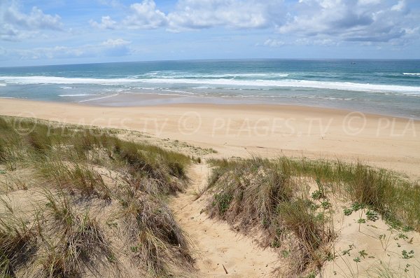 Jenny beach in Le Porge in France