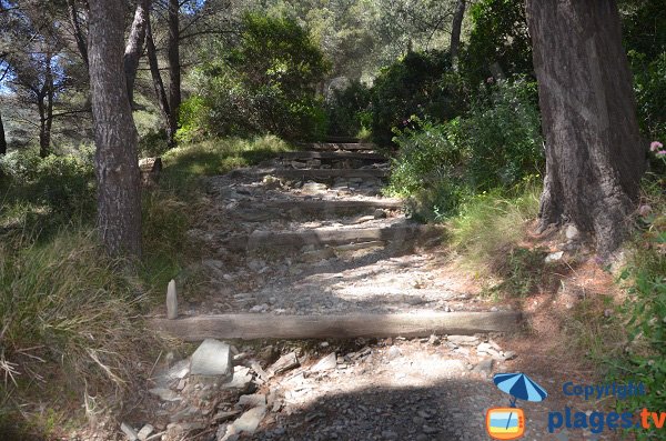 Chemin de la plage du Jonquet