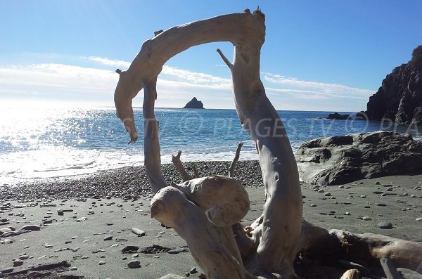 Wild beach in La Seyne sur Mer - Jonquet