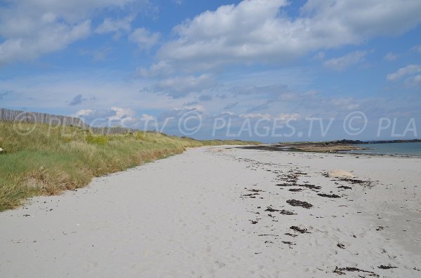 Foto della spiaggia della Jument a Quiberon