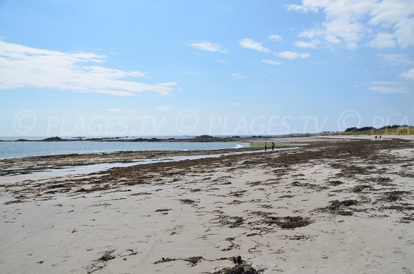 Photo of the beach near the tip of Conguel - Jument beach