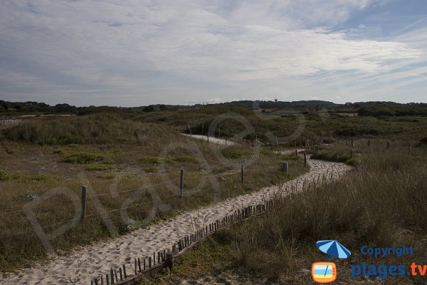 Accès à la plage de Kaolins - Ploemeur