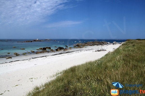 Dünen am Strand Karreg Hir in Kerlouan