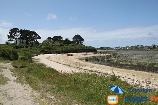 Environnement de la plage de Ker ar Guevel à Landéda