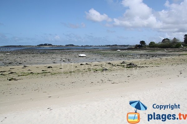 Estuaire de l'Aber Wrac'h à Landéda